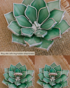 ring-holder