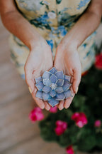 stained-glass-moonstone-blue-gray-purple-succulent-ring-dish-by-waen (5)