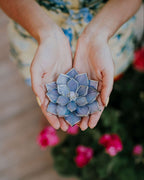 stained-glass-moonstone-blue-gray-purple-succulent-ring-dish-by-waen (5)