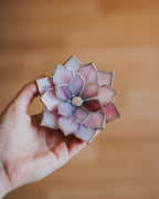 stained-glass-pink-magnolia-ring-dish-by-waen