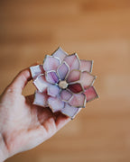 stained-glass-pink-magnolia-ring-dish-by-waen