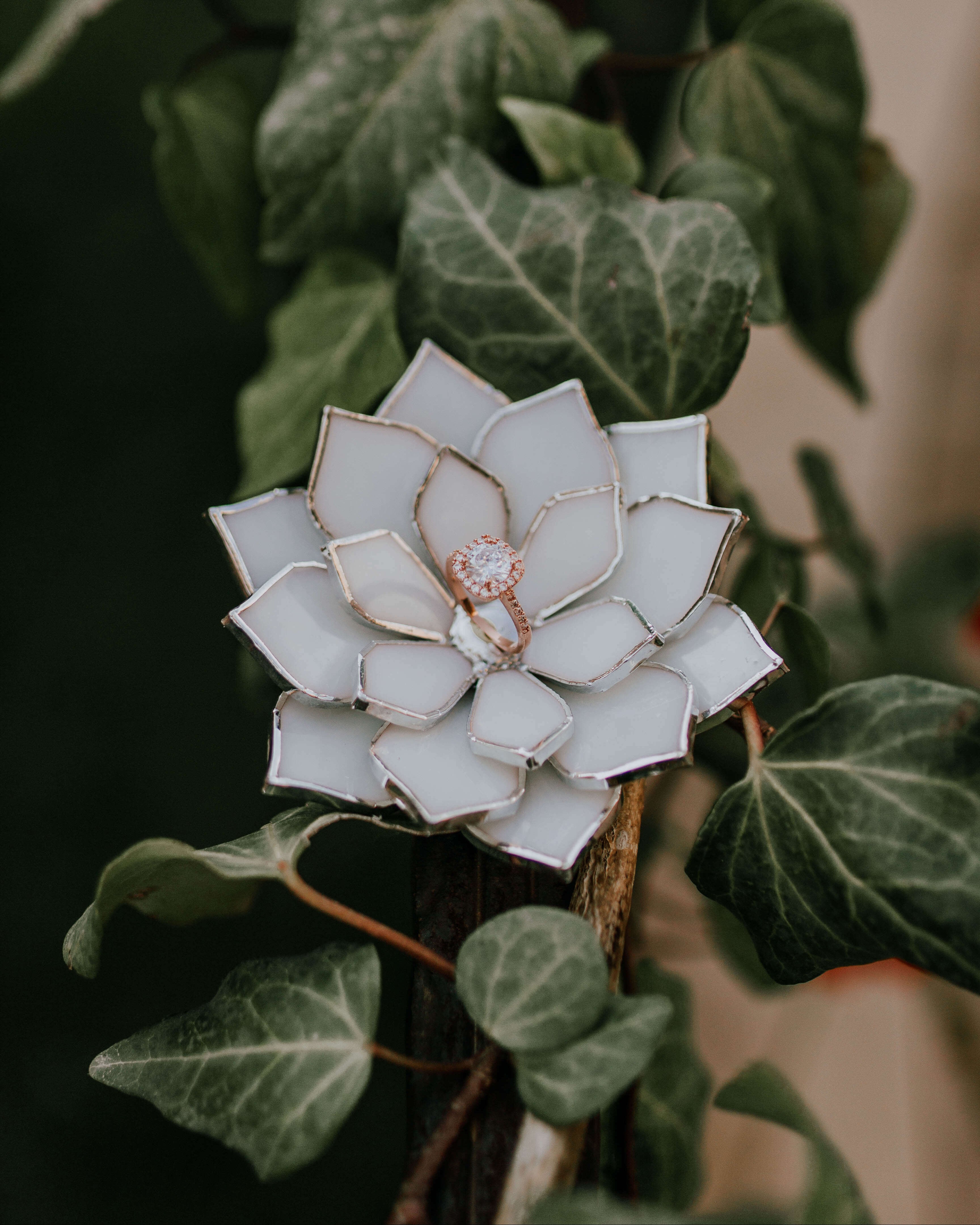 stained-glass-white-floral-succulent-wedding-ring-dish-by-waen