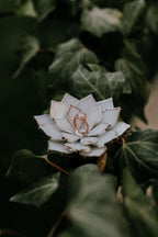 stained-glass-white-floral-succulent-wedding-ring-dish-by-waen