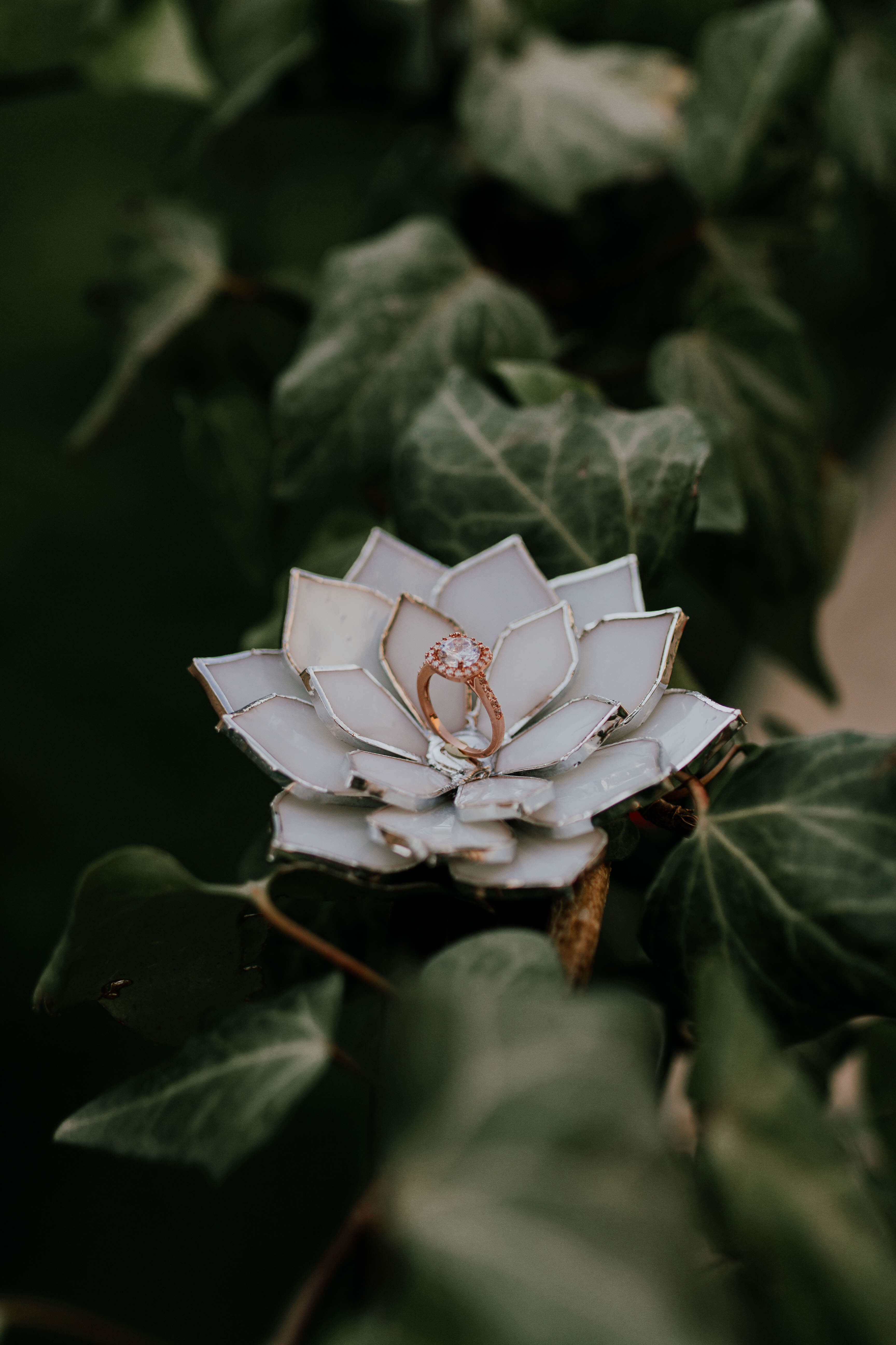 stained-glass-white-floral-succulent-wedding-ring-dish-by-waen