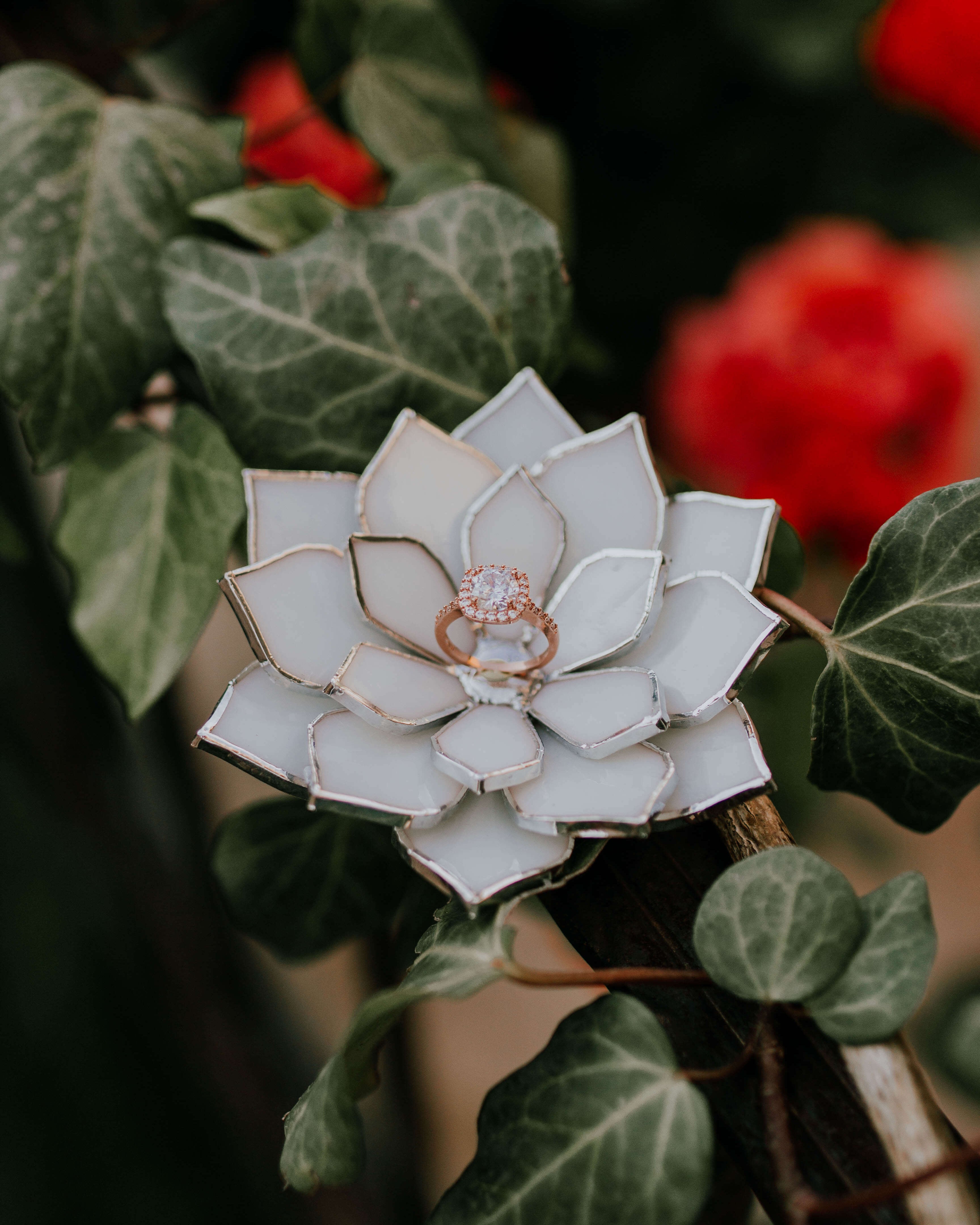 stained-glass-white-floral-succulent-wedding-ring-dish-by-waen