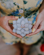 stained-glass-white-floral-succulent-wedding-ring-dish-by-waen