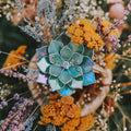 stained_glass_crystal_succulent_ring_dish_jade