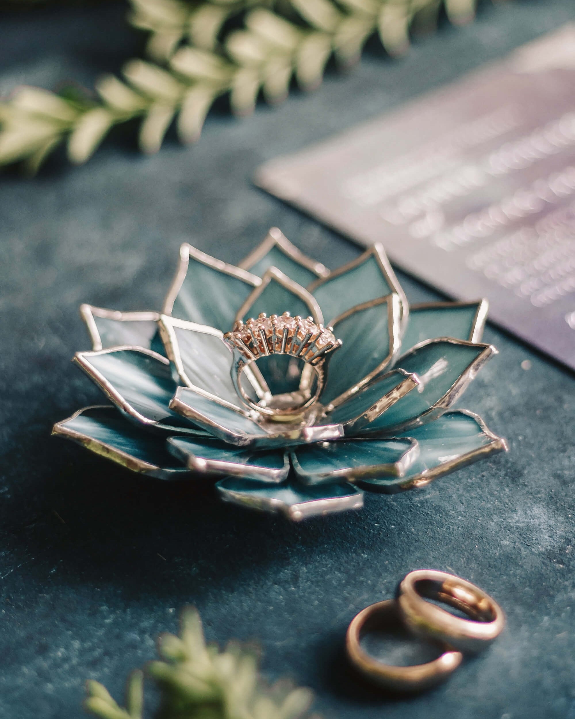 succulent ring holder
